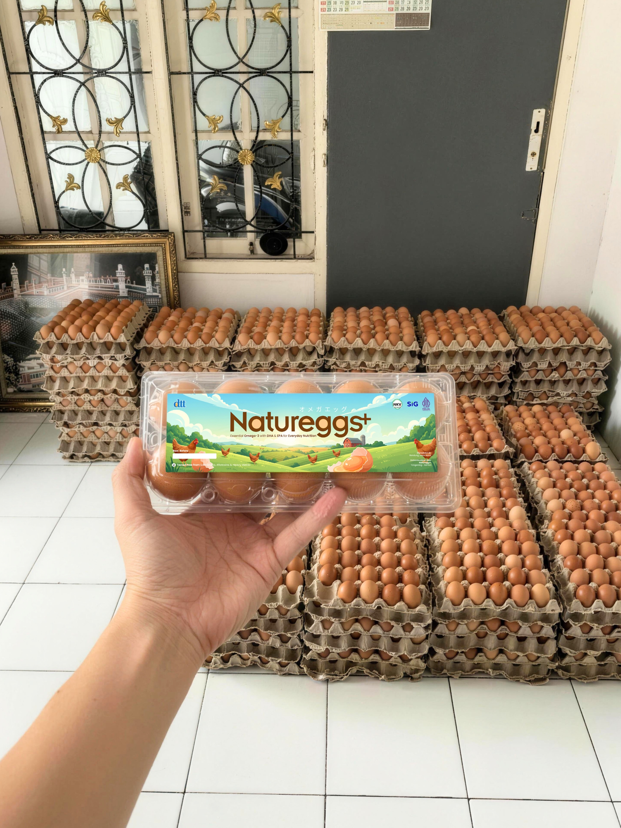 Natureggs+ - Pack telur omega siap kirim